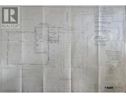 LOT 8 HAVELOCK STREET - 3
