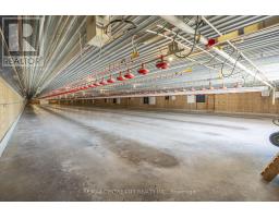 39372 WINTHROP ROAD - 31