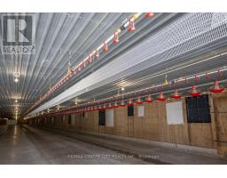 39372 WINTHROP ROAD - 33