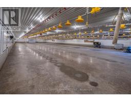 39372 WINTHROP ROAD - 47