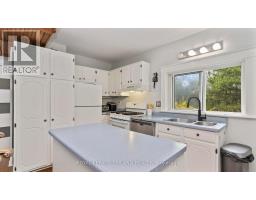 41 GUNN STREET - 8