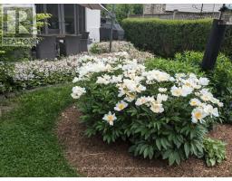20 CHEROKEE ROAD - 42