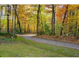 2056 MOCKINGBIRD STREET - 33