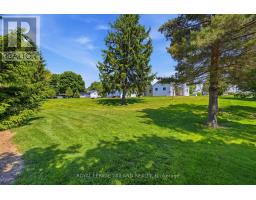 191 ELIZABETH STREET - 11