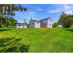 191 ELIZABETH STREET - 12