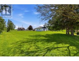 191 ELIZABETH STREET - 8