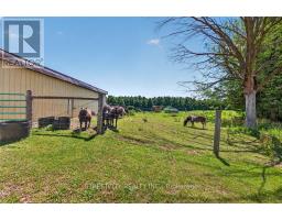 41073 LONDESBORO ROAD - 33