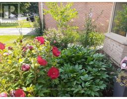 51 LAUREL CRESCENT - 8