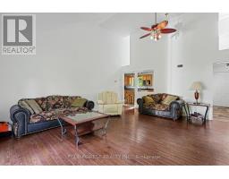23706 GRAY LINE - 19