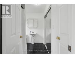 23706 GRAY LINE - 23
