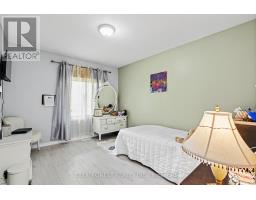 23706 GRAY LINE - 25