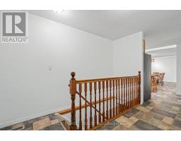 23706 GRAY LINE - 33