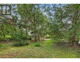 146 WHITING STREET - 30