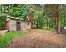 146 WHITING STREET - 34