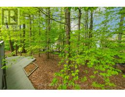52 BIRCHMOUNT WALK - 48