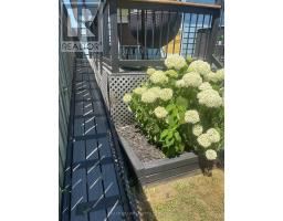 93 HOMAN STREET - 22
