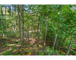 7338 COYNE ROAD - 38