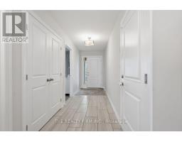 53 ASHBERRY PLACE - 9