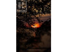 5284 CLIFF ROAD - 44