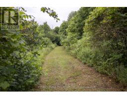 23891 SUTHERLAND ROAD - 31