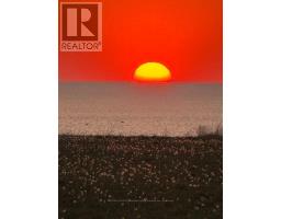 31 - 24071 HENDRICK ROAD - 4