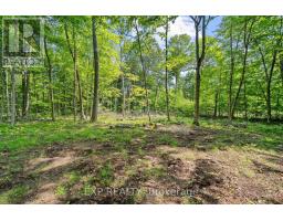 4465 IMPERIAL ROAD - 35