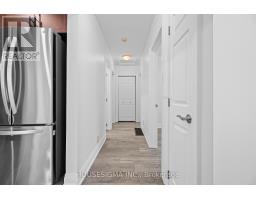 282 MARY STREET - 17