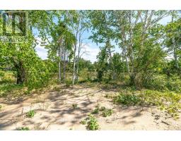 7403 SANDERSON ROAD - 32