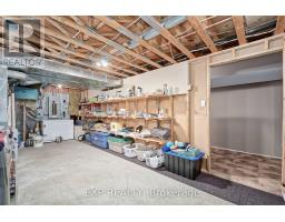 57186 EDEN LINE - 45
