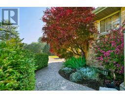 57186 EDEN LINE - 9