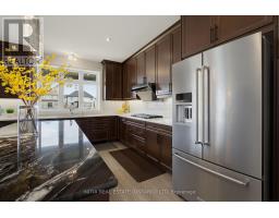 1258 SILVERFOX DRIVE - 13