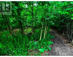 695 WOODCREST BOULEVARD - 36
