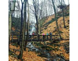 4 JERSEYVILLE ROAD E - 34