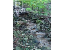 4 JERSEYVILLE ROAD E - 36