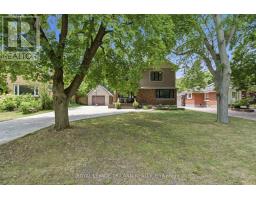 279 STEPHEN STREET - 3