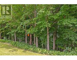 20 WOODHAVEN COURT - 46