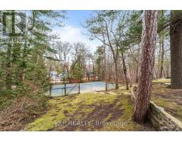 9 SUMMIT AVENUE - 28