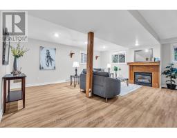 293 BLUE FOREST DRIVE - 25