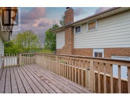 293 BLUE FOREST DRIVE - 30