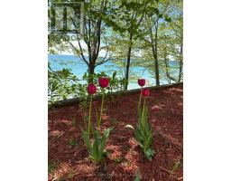 7570 TALBOT TRAIL - 29
