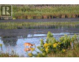 240 EDGEWATER BOULEVARD - 46