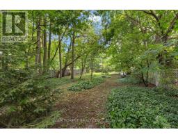 550 ELIZABETH STREET - 38