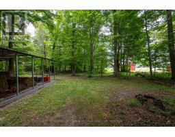 6242 SPRINGFIELD ROAD - 43