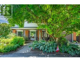 219 DUNDAS STREET W - 4