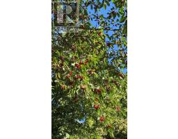1387 IDYLWOOD ROAD - 34