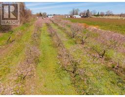 481 CONCESSION 1 ROAD - 15