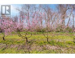 481 CONCESSION 1 ROAD - 5