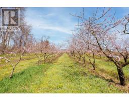 481 CONCESSION 1 ROAD - 7