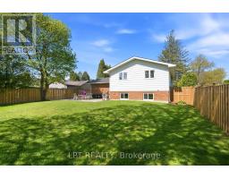 168 ANN STREET - 42