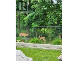 2426 RED THORNE AVENUE - 47